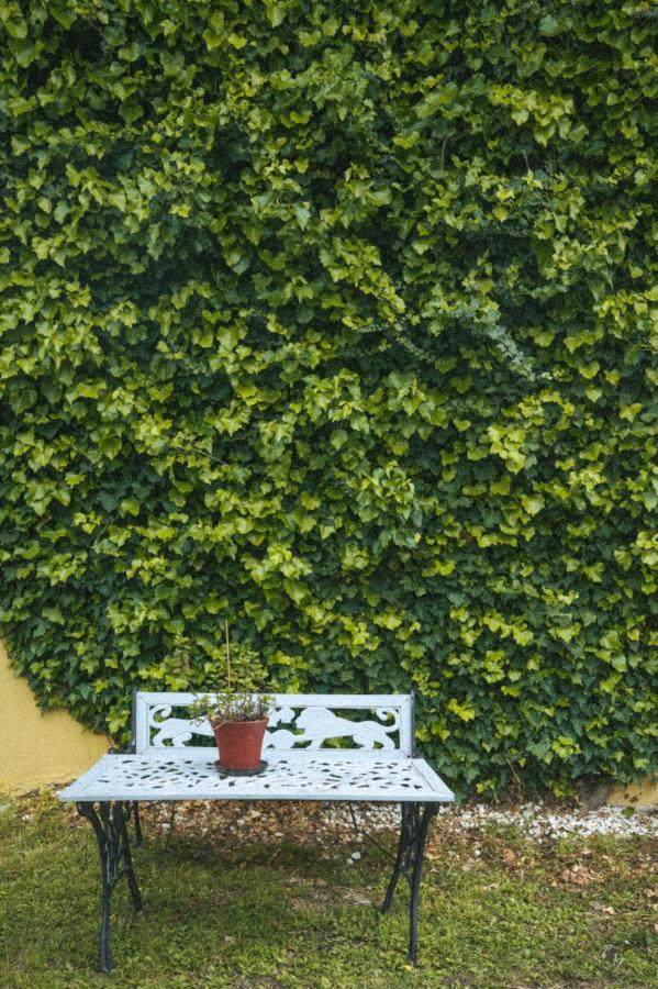 Abelia Boutique Rooms Tsilivi  Dış mekan fotoğraf